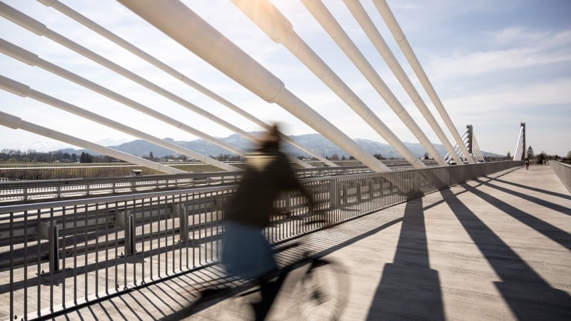 Rhine Bridge Hard-Fussach 2